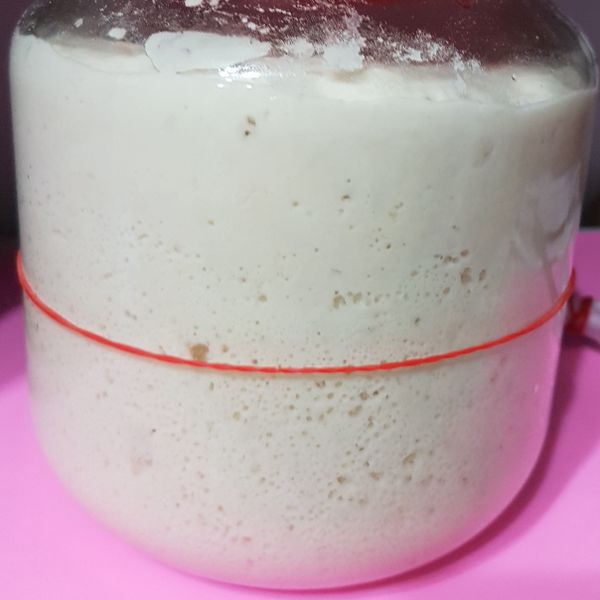 自製蘋果天然酵母種 : 劉沛璇一起做