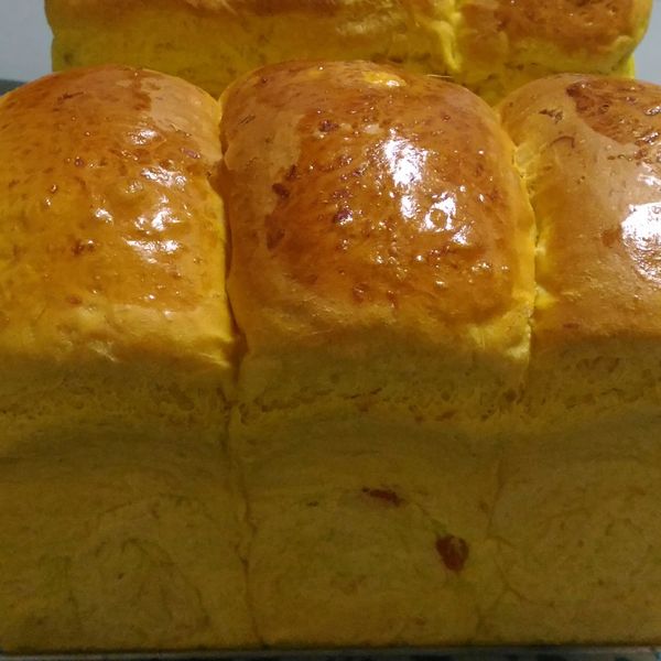 南瓜土司：水瓶🐷亂亂座 一起做