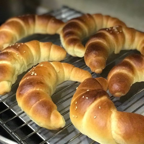 undefined：bee 一起做