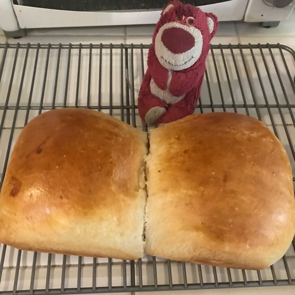 吳寶春師傅金牌牛奶吐司配方（12兩）：二熊廚房 一起做