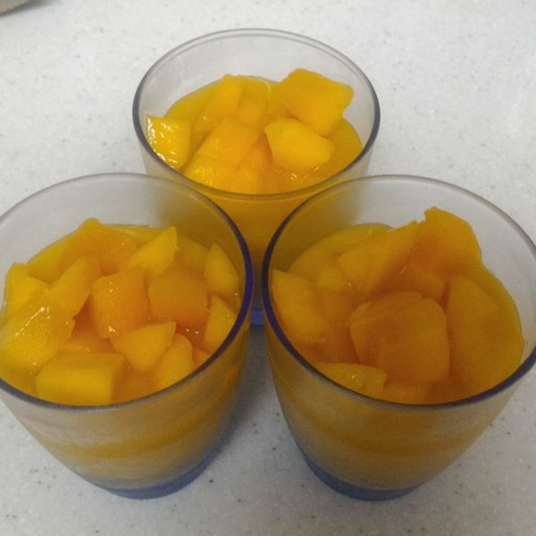 🍮芒果布丁🍮 零失敗輕鬆做：Ruby Tsai 一起做