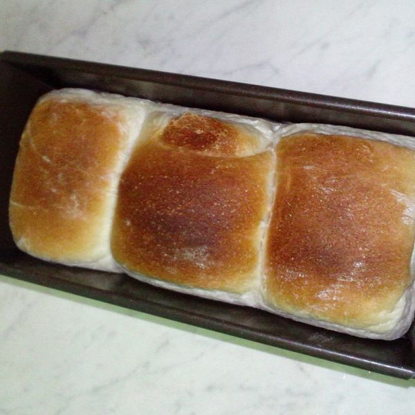 undefined：狗狗 一起做