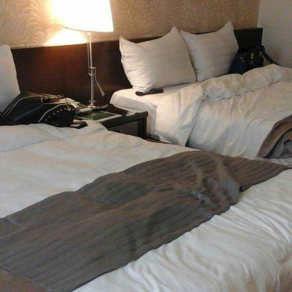 undefined：潘亦心 一起做