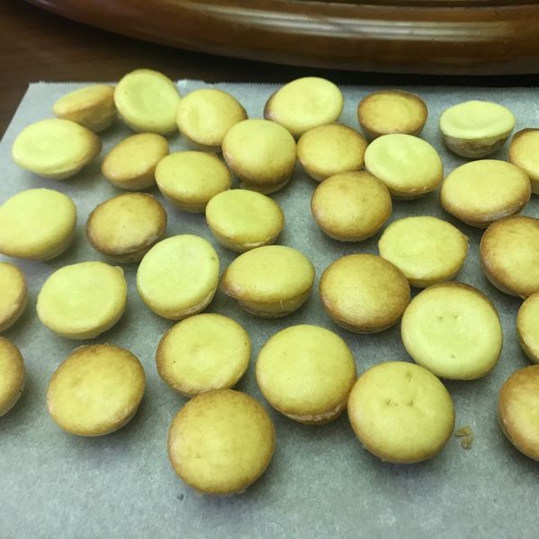 乳酪球:菲比 一起做