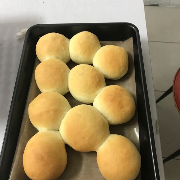 優格牛奶小餐包🥐🥐🥐 : 賈筱惠一起做