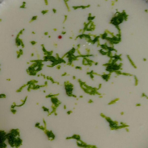 （免烤箱）清爽檸檬優格生乳酪蛋糕 : 李君玲一起做