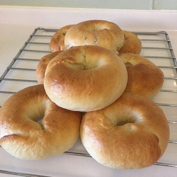 優格貝果(無油配方) : Ada Chian一起做