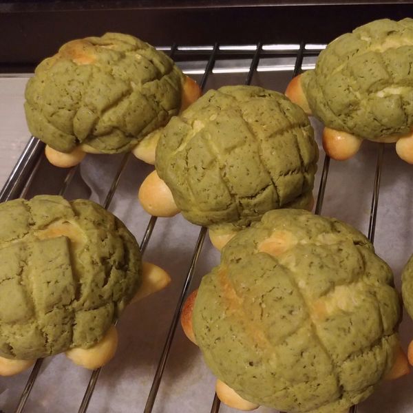 undefined：喵喵 一起做