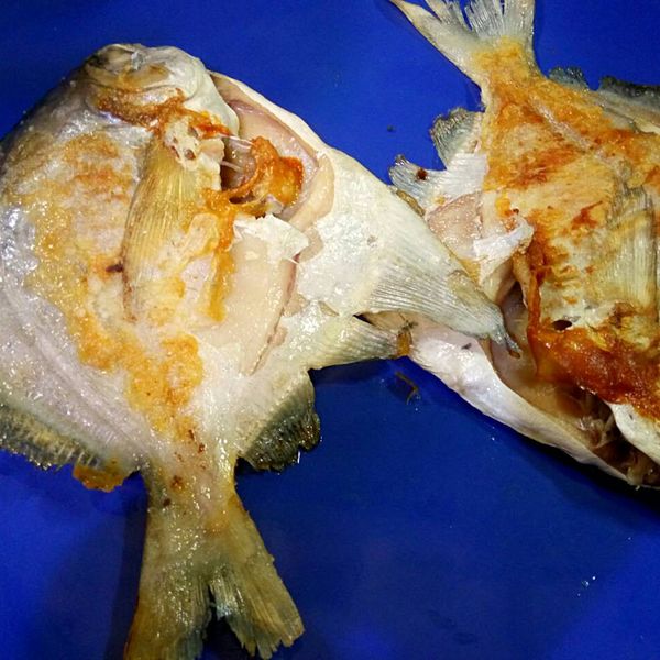 ♥ 超大尾乾煎白鯧魚 ♥：Pigleg Huang 一起做