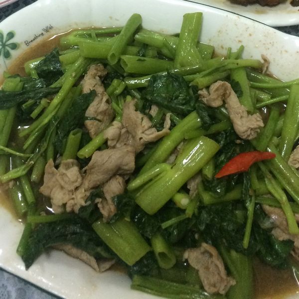 沙茶空心菜炒肉絲-大火快炒家常菜：康小琳 一起做