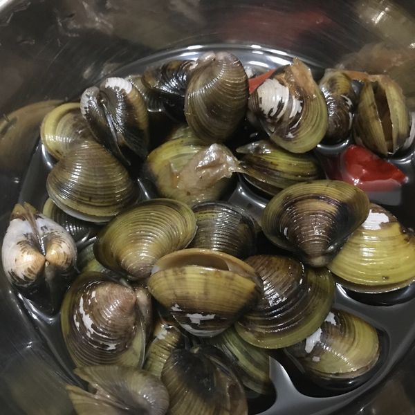 醃鹹蜆仔 : 我是小青蛙小青蛙一起做