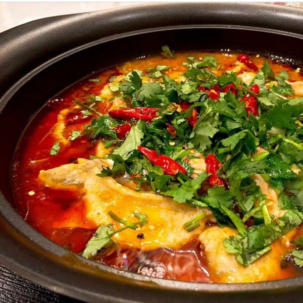 新書搶先看～道地川味麻辣水煮魚：Jo  一起做