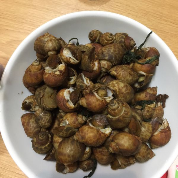 undefined：Sandra Hsin 一起做