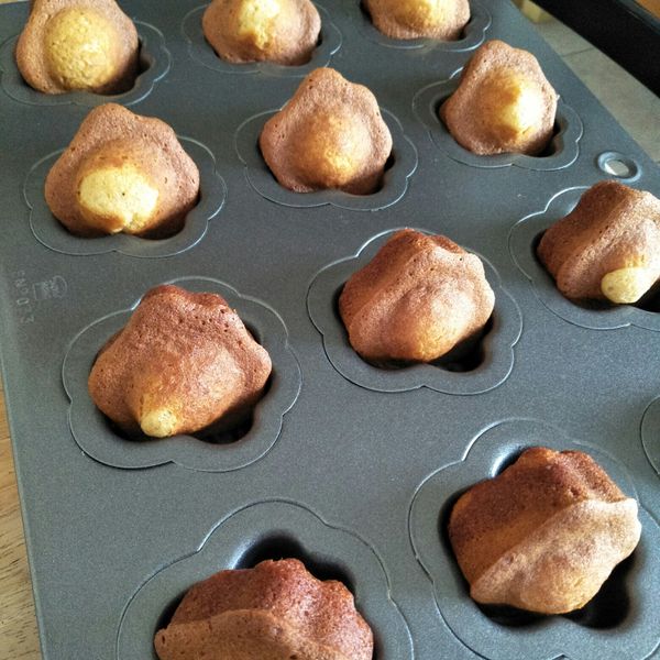 蜂蜜瑪德蓮-原味.可可.抹茶 : Patty Tasi一起做