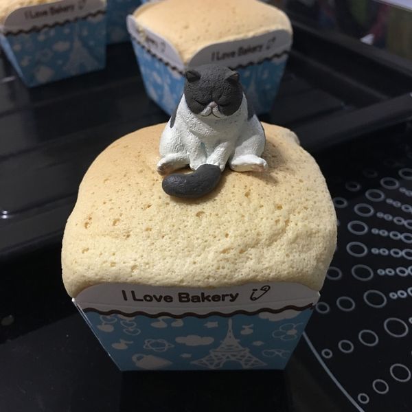 蜂蜜海綿杯子蛋糕 : Hus Dora一起做