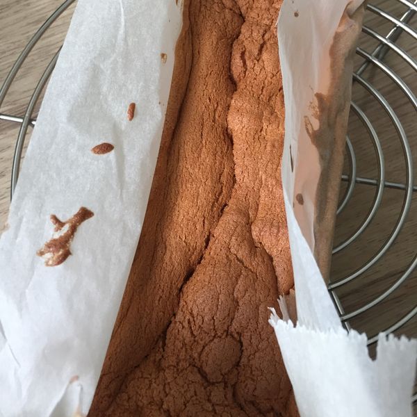 undefined：Daphnée Yu 一起做