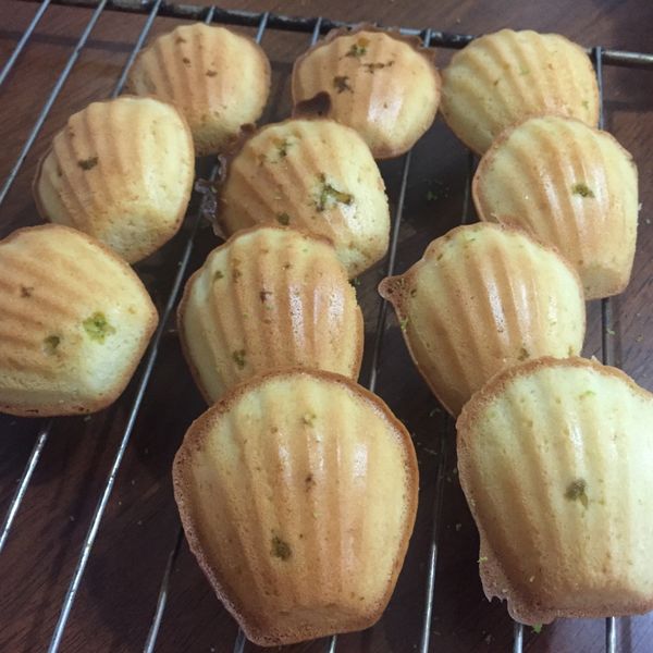 檸檬馬德蓮：呂蕎安 一起做