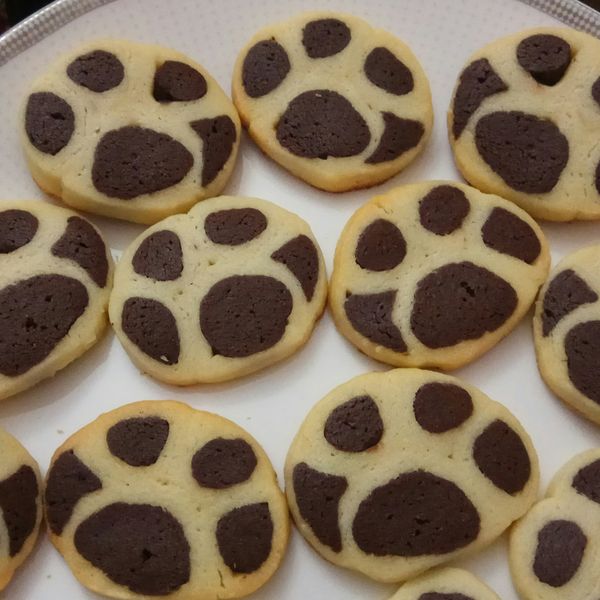 undefined：哪尼 一起做