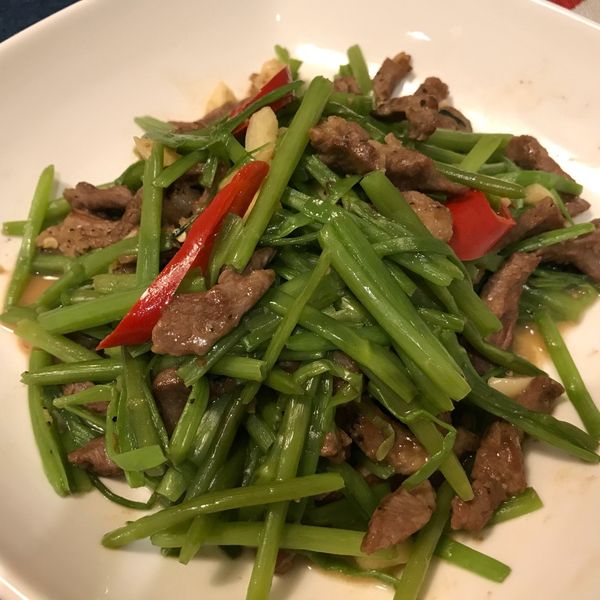 【菜鳥人妻學做菜】空心菜炒肉絲 : fish wang一起做