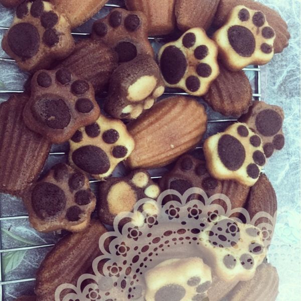 法式檸檬瑪德蕾蛋糕:黃羽矄 一起做