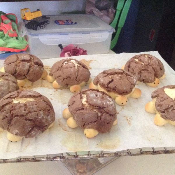 烏龜菠蘿麵包【卡特莉的點心】 胡涓涓食譜：陳雪芬 一起做