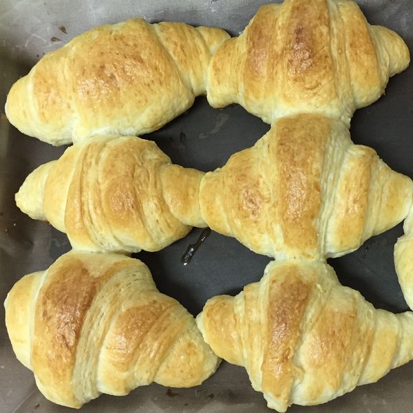 undefined：Shu Shu Liao 一起做