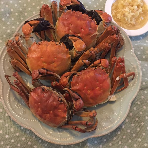 秋天必吃-清蒸大閘蟹 : Tracy Chien一起做