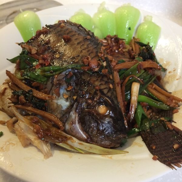 undefined：MollyLin 一起做