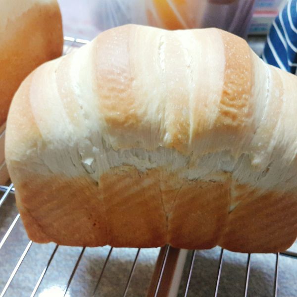 鮮奶小吐司【麥典實作工坊麵包專用粉】 : 黄筱君一起做