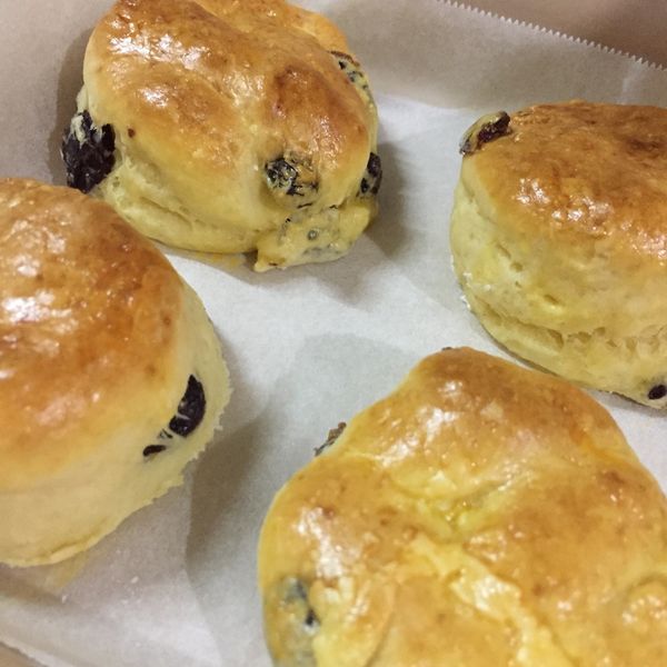 超蓬鬆司康的秘密配方~健康減油優格口味:Kate 一起做