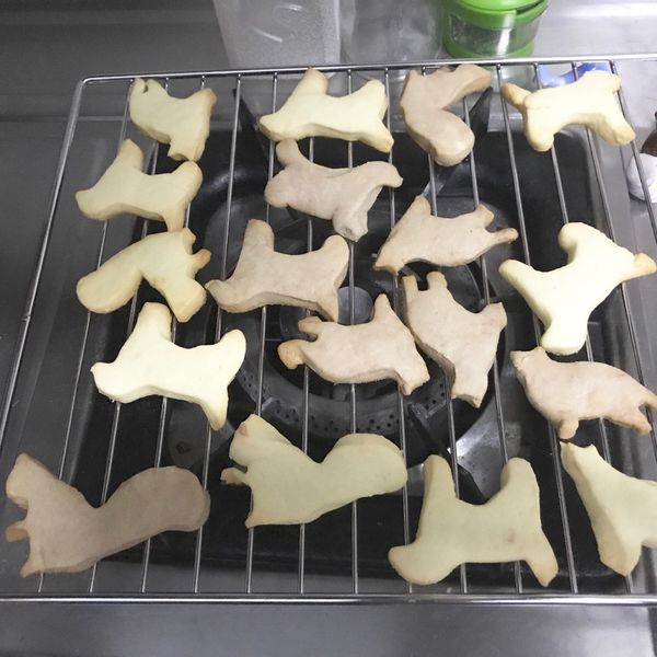 undefined：張瑜芩 一起做