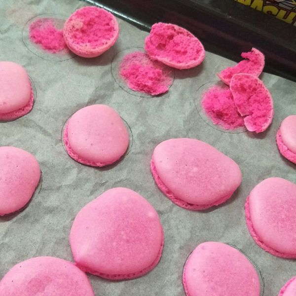 undefined：Ng Jun Er 一起做