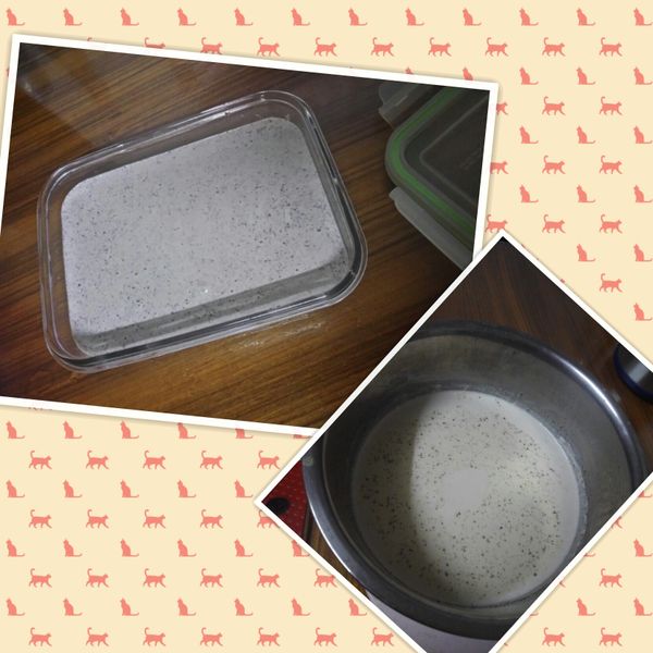 ㄚ曼達的廚房~黑芝麻奶酪：Cat 一起做