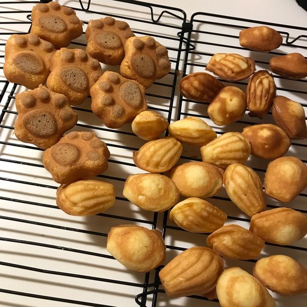 貓爪蛋糕 : 李佳範一起做