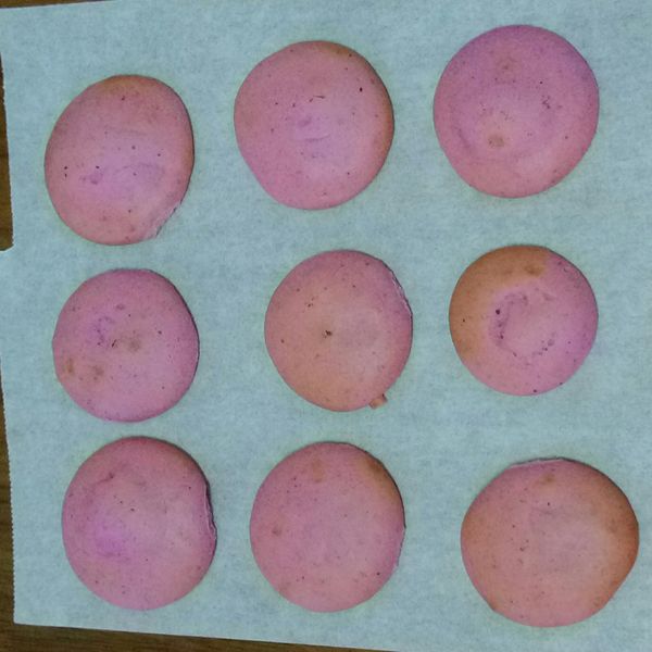 火龍果酥餅 : 李柚子一起做