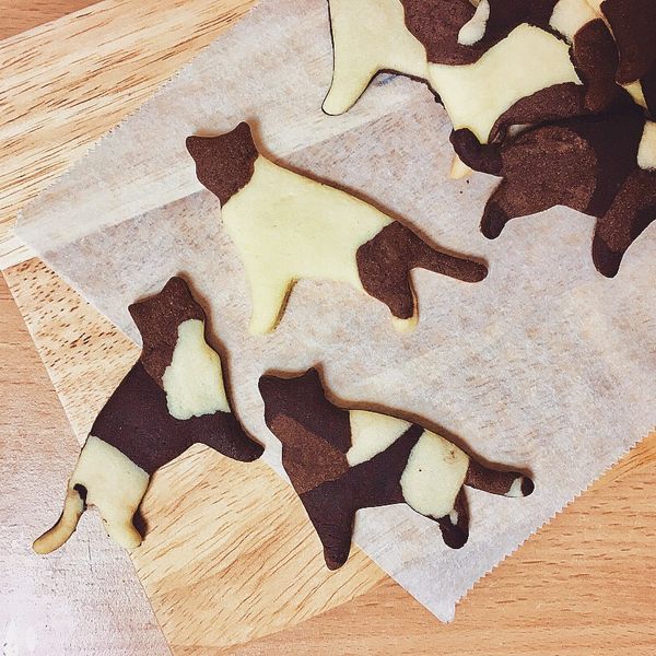 三花貓咪造型餅乾：Irene 一起做