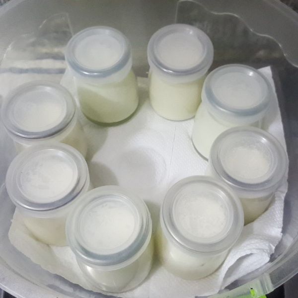 undefined：Wan-ching Lo 一起做