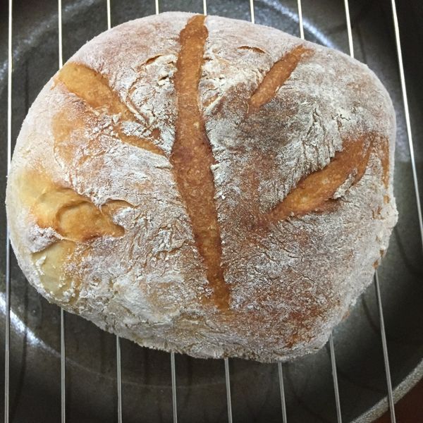 免揉歐式麵包 : Joyce Chu一起做