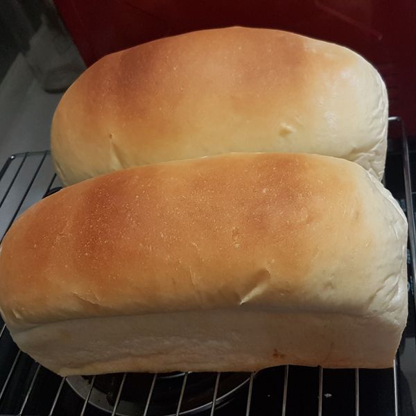 吳寶春師傅金牌牛奶吐司配方（12兩） : Angeles Huang一起做