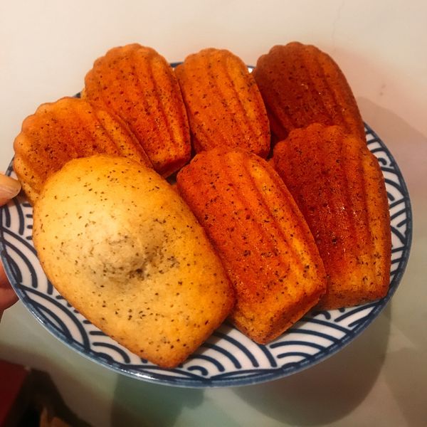 undefined：菲比 一起做