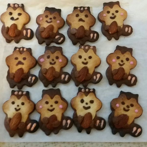 可愛松鼠造型餅乾：張雅婷 一起做