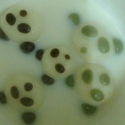 【冬至】熊貓湯圓 : 李柚子一起做