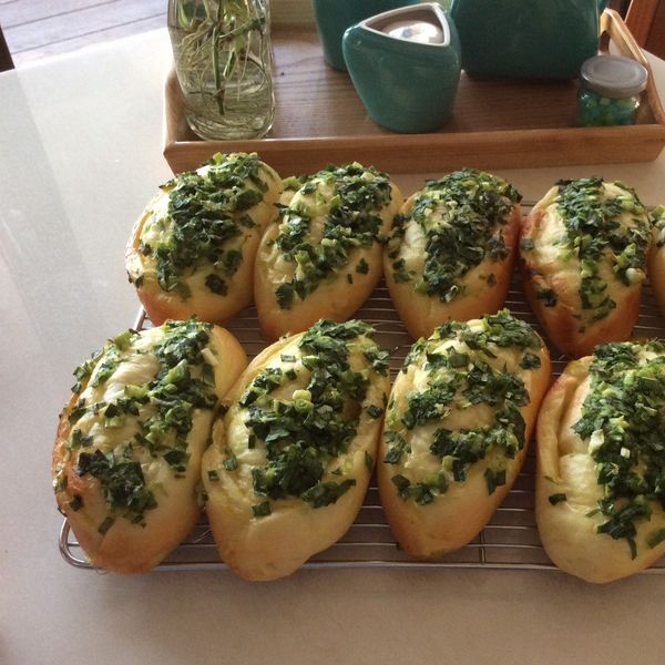 蔥花麵包 *低溫發酵*：Pigleg Huang 一起做