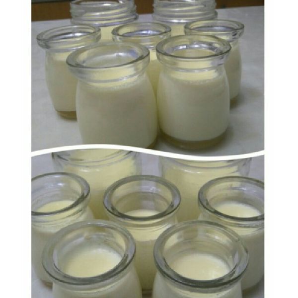 (4種材料)蒸焦糖雞蛋布丁：洪淑娜 一起做