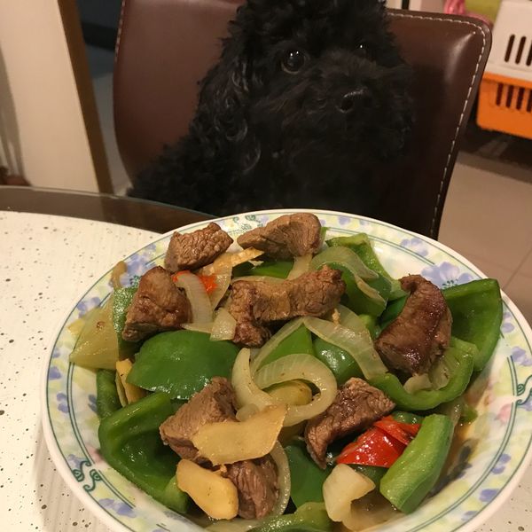 undefined：班婕玲 一起做