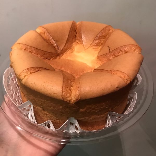 undefined：菲比 一起做