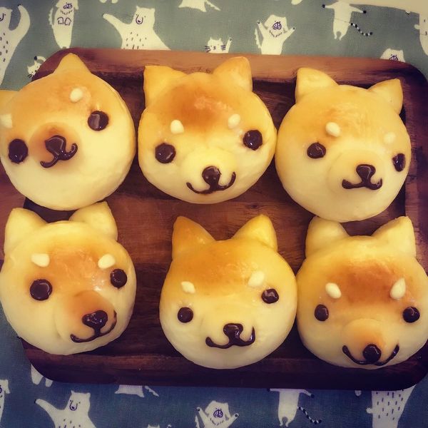 柴犬麵包：陳左君 一起做