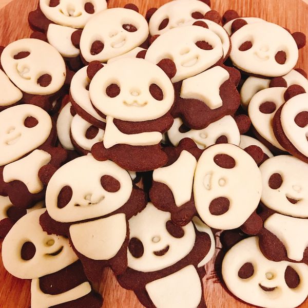 可愛的熊貓餅乾(原味+巧克力) 貓熊餅乾 : 楊小涵一起做