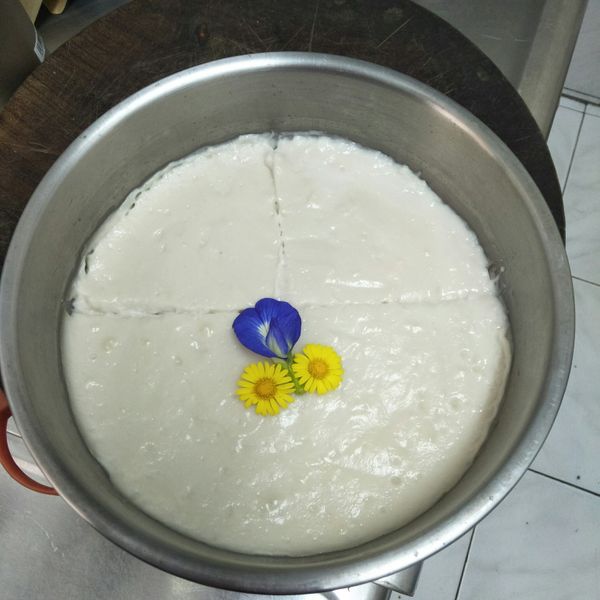 花生豆腐腦 : 周惠捐一起做