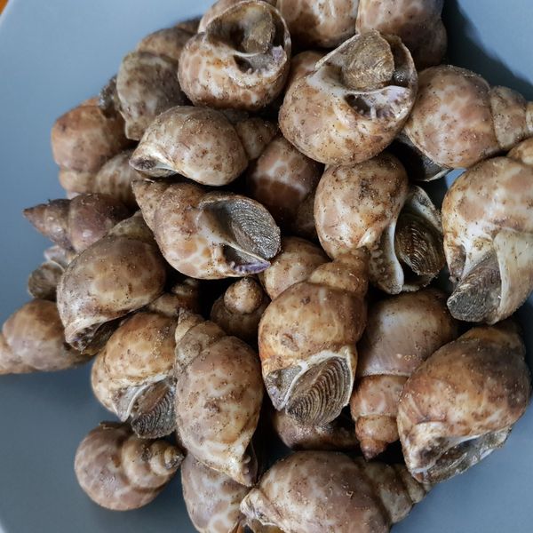 undefined：Doris Chen 一起做